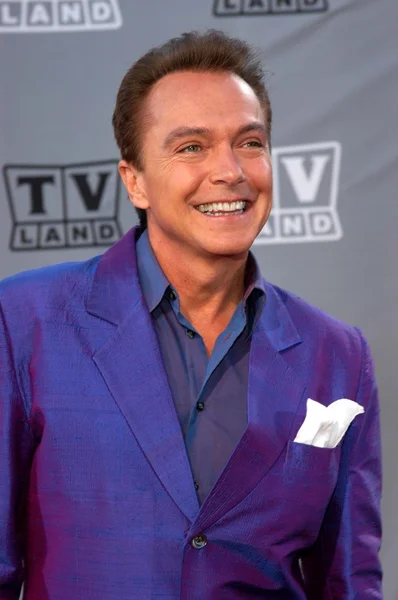 David Cassidy — Stockfoto