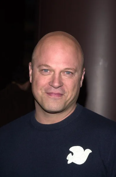 Michael Chiklis — Stok fotoğraf