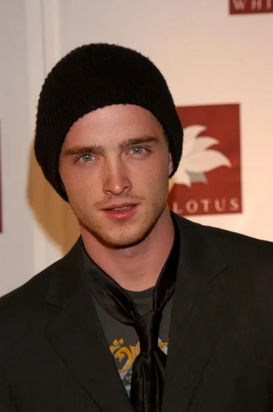 Aaron Paul — Stockfoto