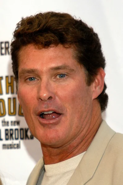 David Hasselhoff. — Foto de Stock