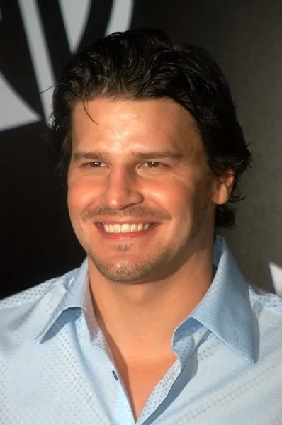 David Boreanaz — Stock Photo, Image