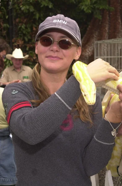 Dedee · 普法伊费尔和"香蕉"蛇 — 图库照片