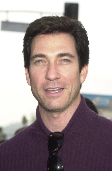 Dylan Mcdermott — Stock fotografie