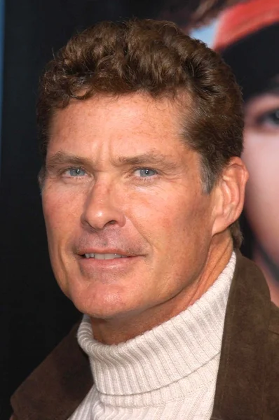 David Hasselhoff — Stock Photo, Image