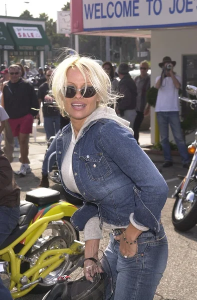 Pamela Anderson — Foto Stock