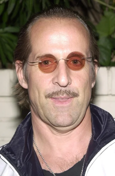 Peter Stormare — Stock Photo, Image