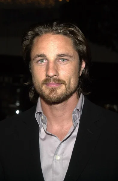 Martin Henderson — Stok fotoğraf