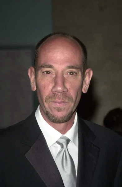 Miguel Ferrer — Stock Photo, Image