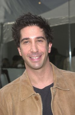 David Schwimmer