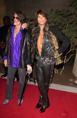Joe perry ve steven tyler