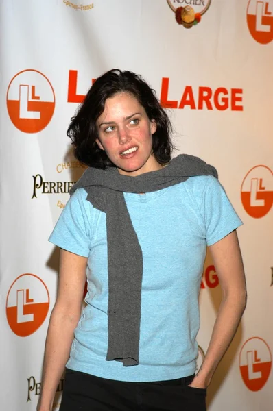 Ione Skye — Foto Stock