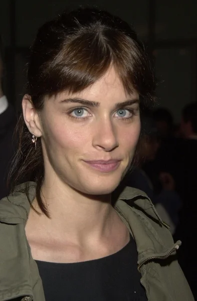 Amanda Peet — Stock Photo, Image