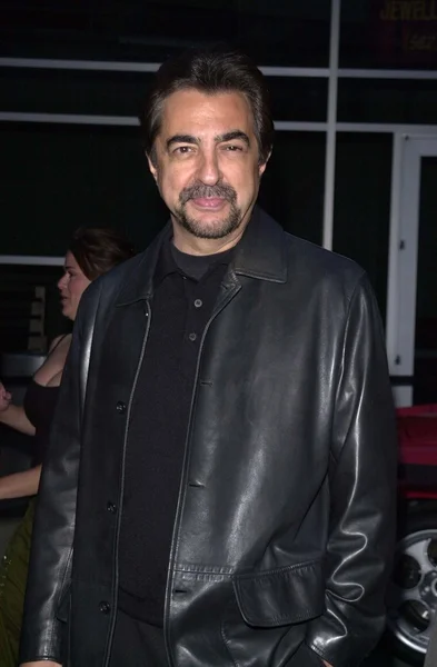 Joe Mantegna. —  Fotos de Stock