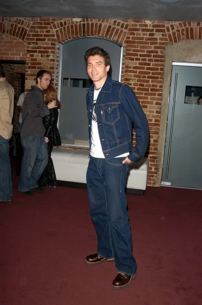 Anson Mount — Stok fotoğraf