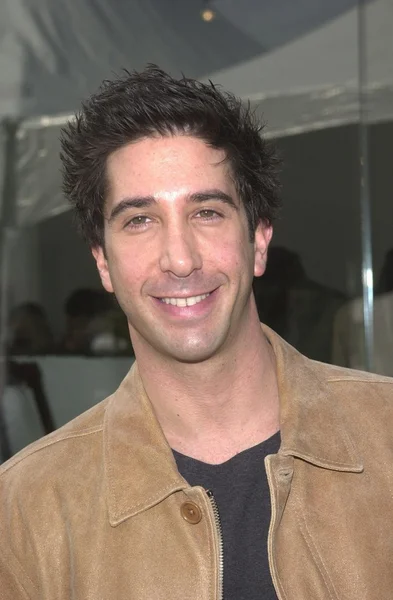 David Schwimmer — Stock Photo, Image