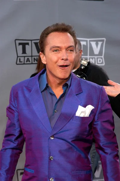 David Cassidy. — Foto de Stock