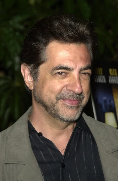 Joe Mantegna — Stock Photo, Image