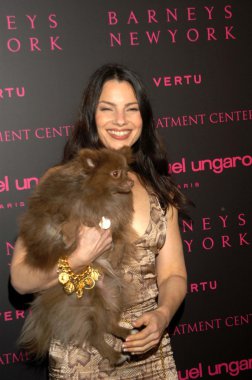 Fran Drescher