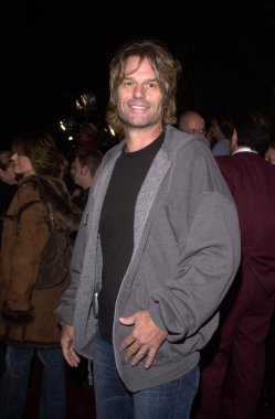 Harry Hamlin