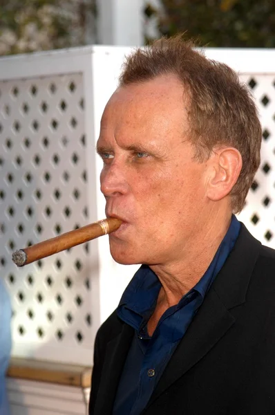 Peter Weller — Stock Photo, Image