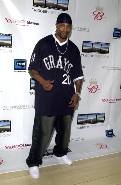 Busta rhymes — Stockfoto