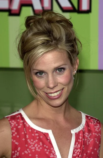 Cheryl Hines — Stock Fotó