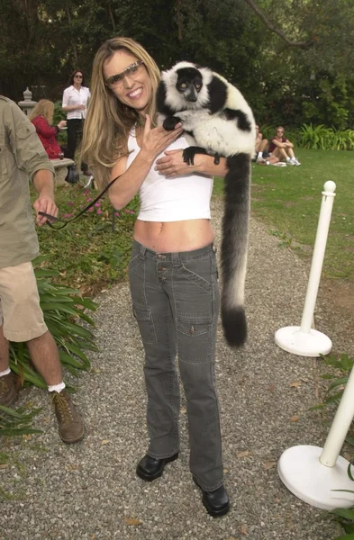 Jillian Barberie y "Boo" el Lemur —  Fotos de Stock