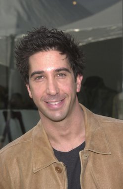 David Schwimmer