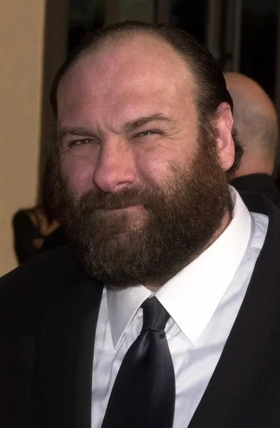 James Gandolfini — Stockfoto