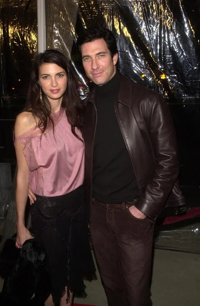 Shiva Rose and Dylan McDermott — Stock Photo, Image