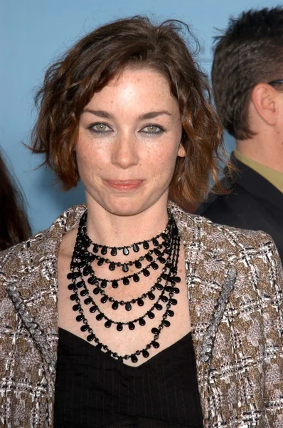 Julianne Nicholson — Stock Photo, Image