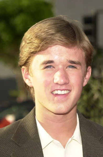 Haley Joel Osment — Φωτογραφία Αρχείου