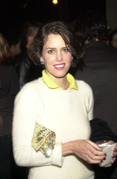 Ione Skye. — Foto de Stock