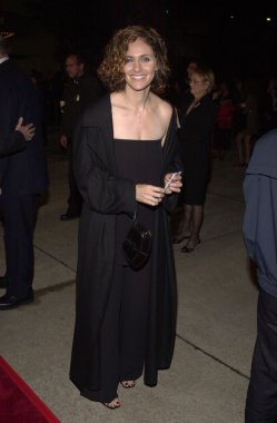 Amy Brenneman