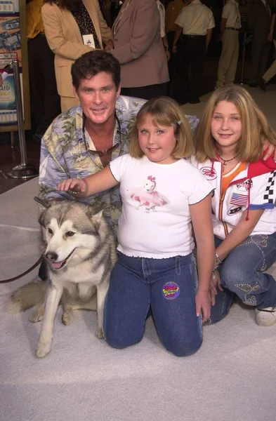 David Hasselhoff e la famiglia — Foto Stock