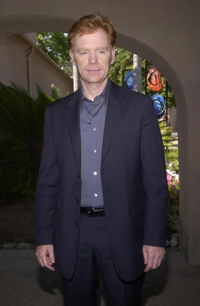 David Caruso — Stock Photo, Image