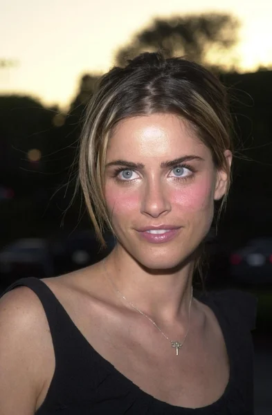 Amanda Peet — Stockfoto