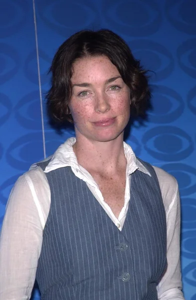 Julianne Nicholson — Zdjęcie stockowe