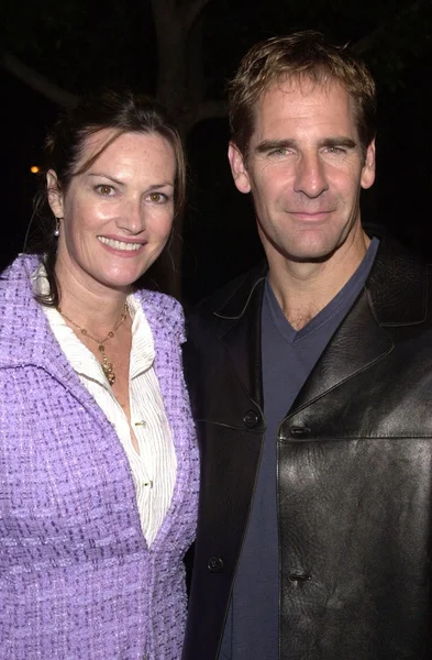 Scott Bakula and Chelsea Fields — Stock Photo, Image