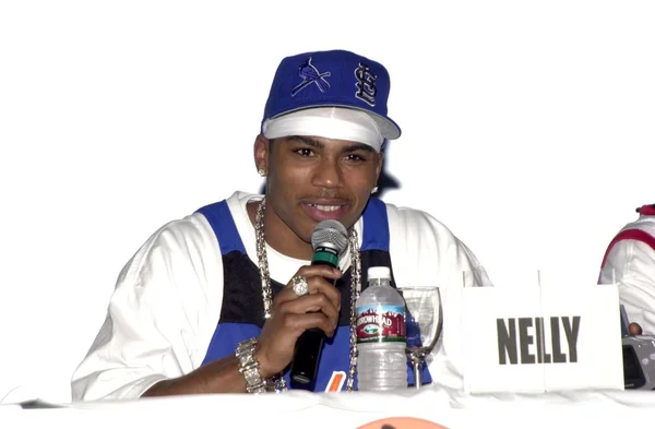 Nelly. — Foto de Stock