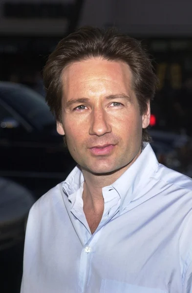 David Duchovny — Zdjęcie stockowe