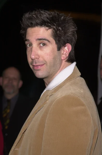 David Schwimmer — Zdjęcie stockowe