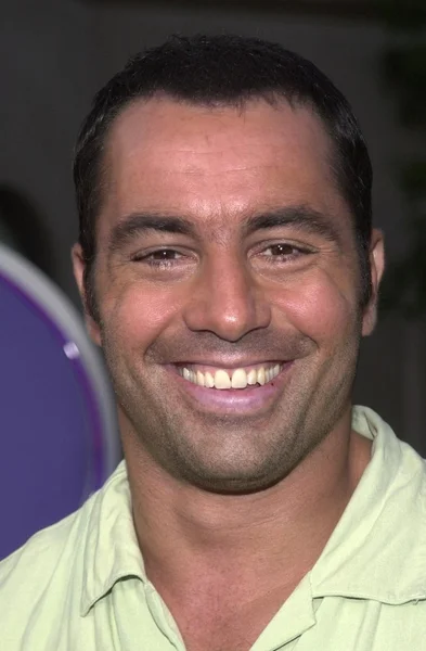 Joe Rogan — Stok fotoğraf