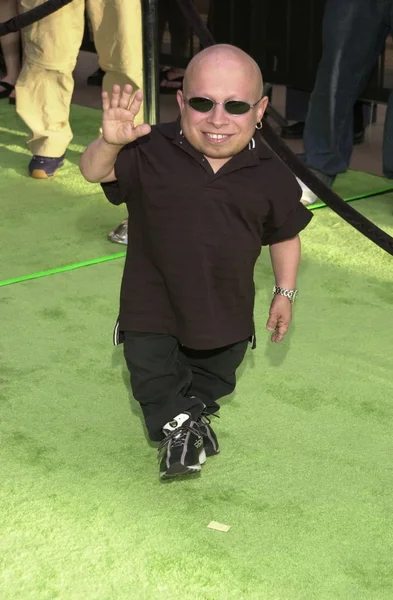 Verne Troyer — Stockfoto