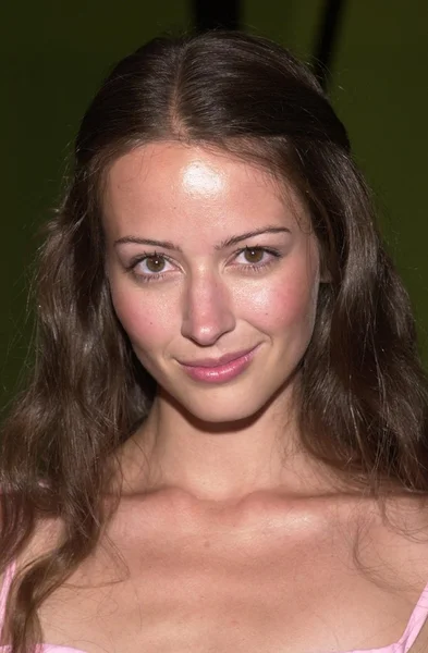 Amy acker — Foto Stock