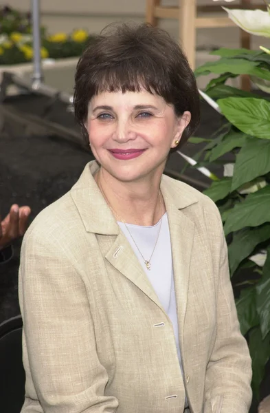 Cindy Williams — Foto de Stock