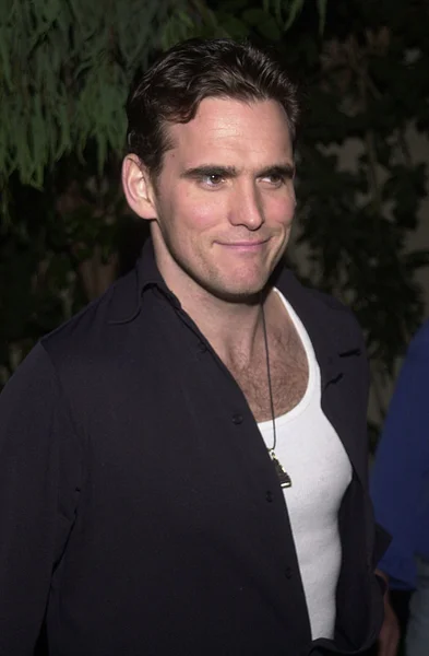 Matt Dillon — Stockfoto