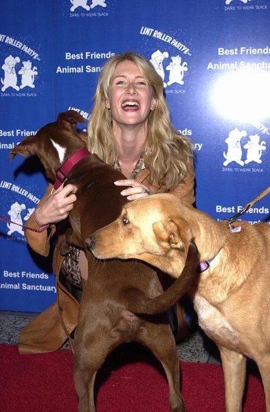 Laura Dern — Stockfoto