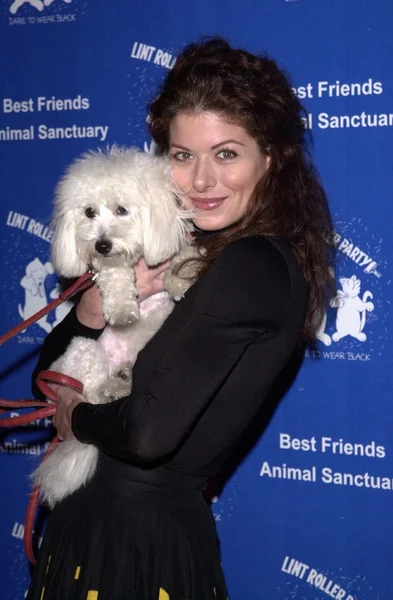 Debra Messing — Zdjęcie stockowe