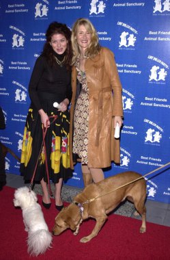 debra Messing ve laura dern